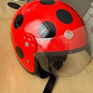 Red and Black Ladybug Helmet